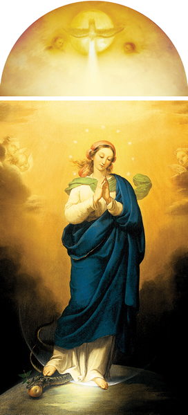 Spirituality Marians Of The Immaculate Conception 8064