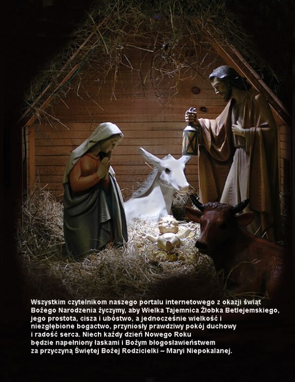 Christmas_Manger_trial_2018