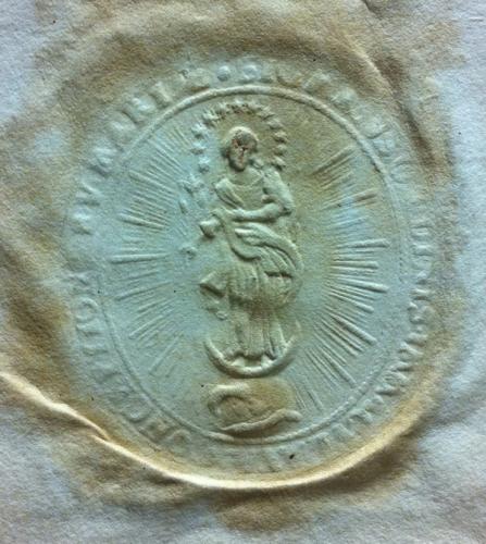 seal gray1